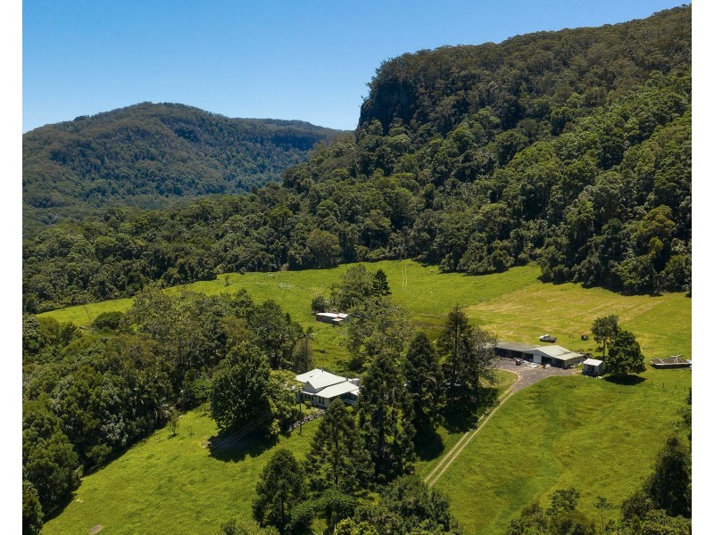 1028 Wilsons Creek Road, Wilsons Creek NSW 2482
