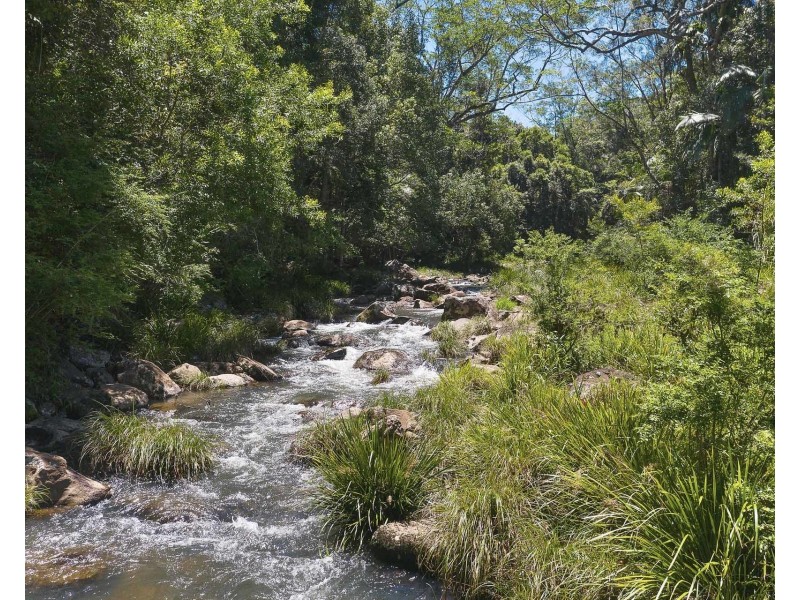 1028 Wilsons Creek Road, Wilsons Creek NSW 2482