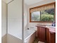 1028 Wilsons Creek Road, Wilsons Creek NSW 2482