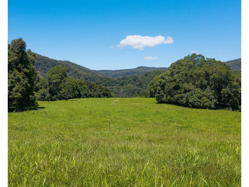 1028 Wilsons Creek Road, Wilsons Creek NSW 2482