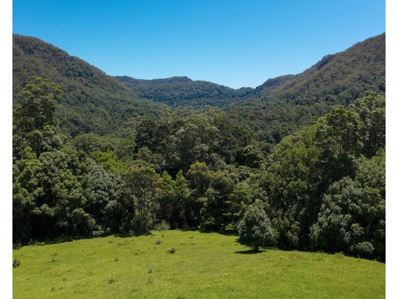 1028 Wilsons Creek Road, Wilsons Creek NSW 2482