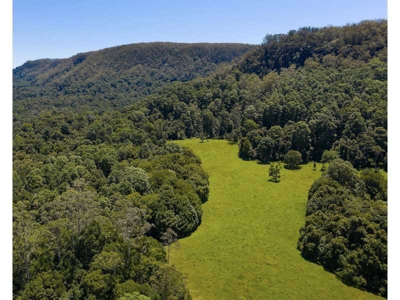 1028 Wilsons Creek Road, Wilsons Creek NSW 2482