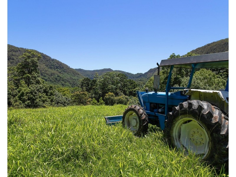1028 Wilsons Creek Road, Wilsons Creek NSW 2482