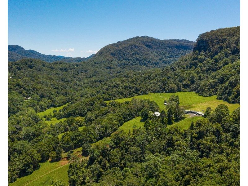 1028 Wilsons Creek Road, Wilsons Creek NSW 2482