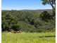 1028 Wilsons Creek Road, Wilsons Creek NSW 2482