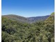 1028 Wilsons Creek Road, Wilsons Creek NSW 2482