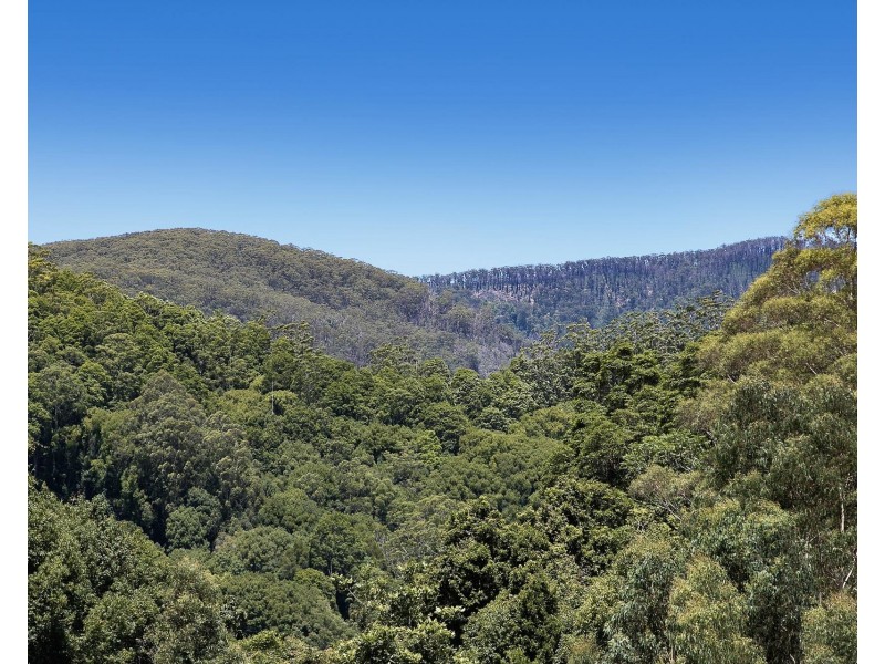 1028 Wilsons Creek Road, Wilsons Creek NSW 2482