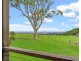 1696 Hinterland Way, Mcleods Shoot NSW 2479