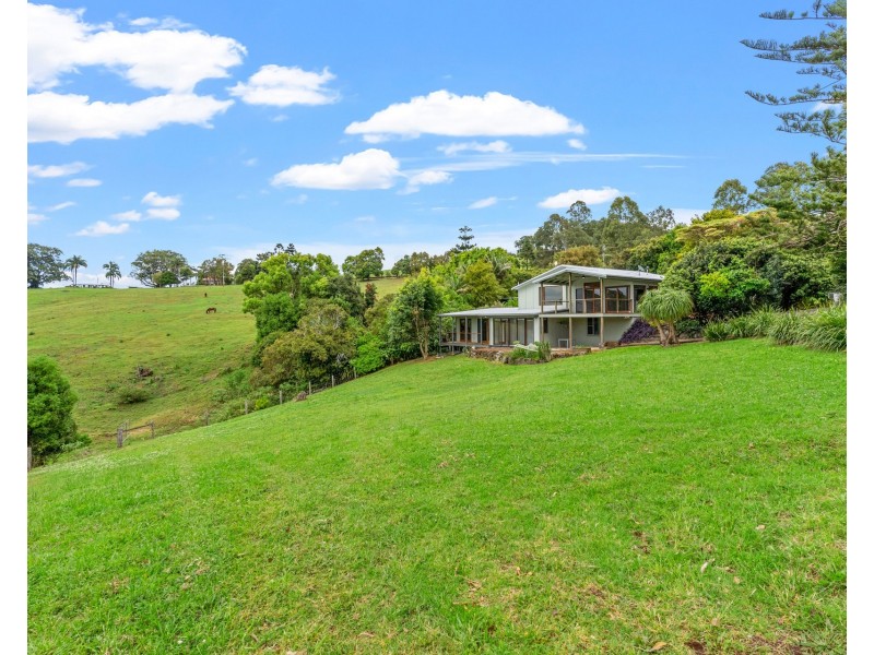 1696 Hinterland Way, Mcleods Shoot NSW 2479