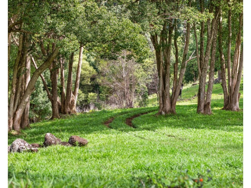 216 Repentance Creek Road, Goonengerry NSW 2482