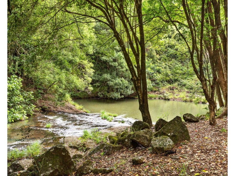 216 Repentance Creek Road, Goonengerry NSW 2482