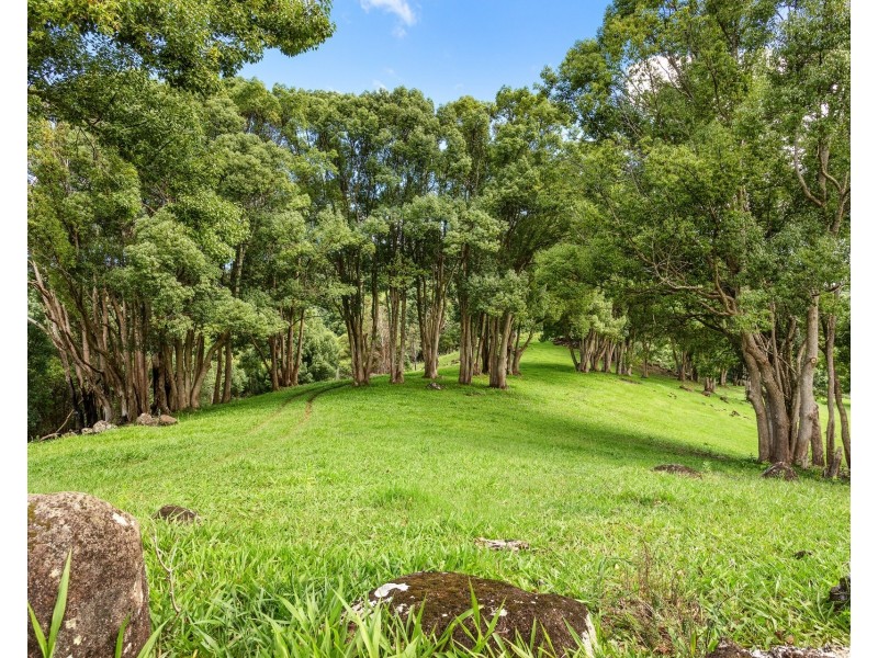 216 Repentance Creek Road, Goonengerry NSW 2482