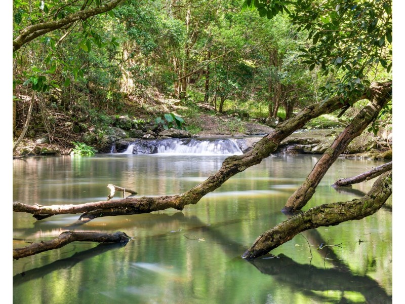 216 Repentance Creek Road, Goonengerry NSW 2482