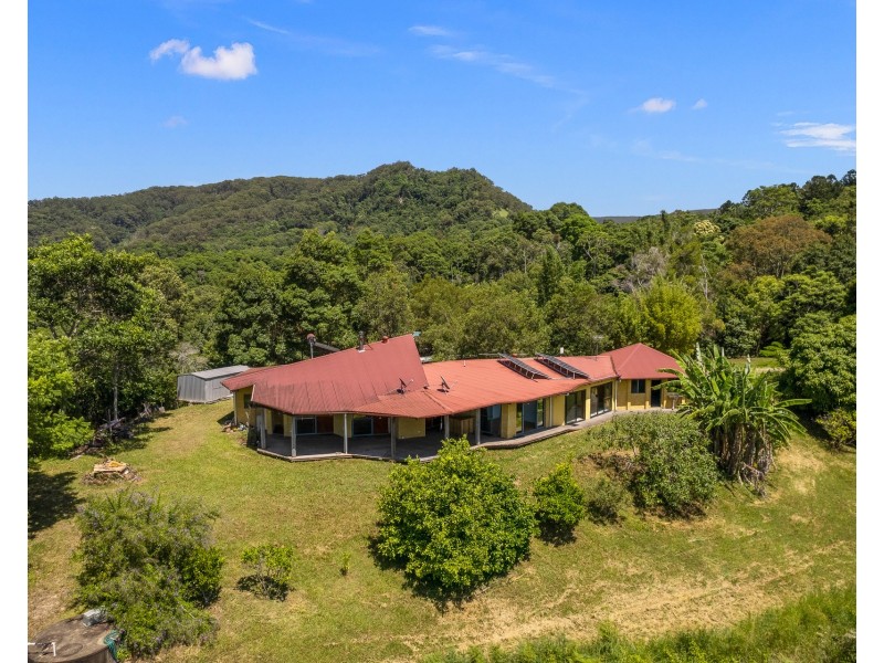 61 Robinsons Road, Wilsons Creek NSW 2482