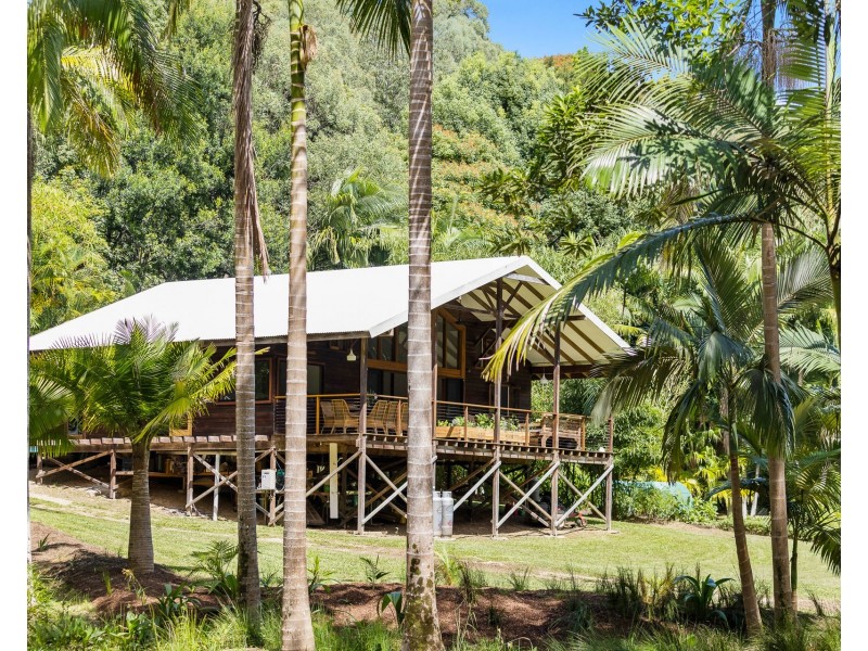 273 Crabbes Creek Road, Crabbes Creek NSW 2483