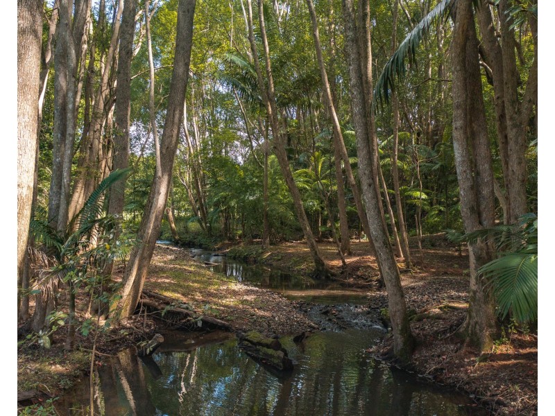 273 Crabbes Creek Road, Crabbes Creek NSW 2483