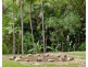 273 Crabbes Creek Road, Crabbes Creek NSW 2483