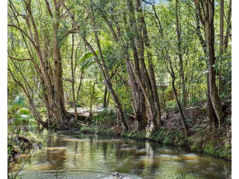 273 Crabbes Creek Road, Crabbes Creek NSW 2483