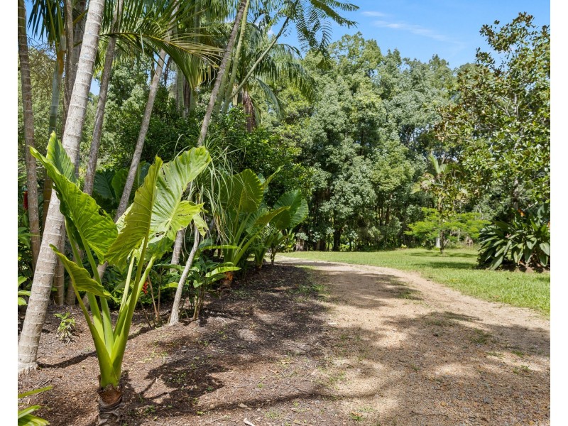 273 Crabbes Creek Road, Crabbes Creek NSW 2483