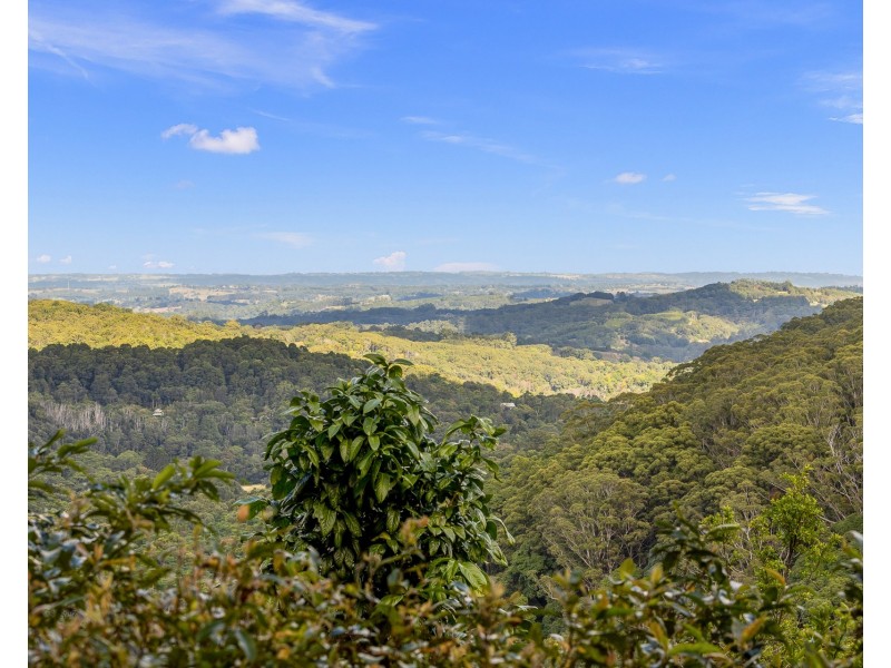 103 Goonengerry Mill Road, Goonengerry NSW 2482