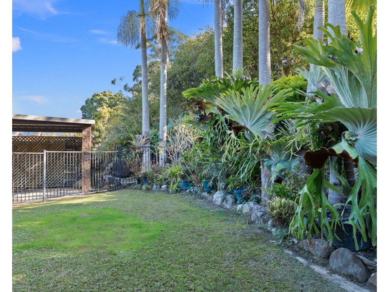 15 Dinjerra Place, Mullumbimby NSW 2482