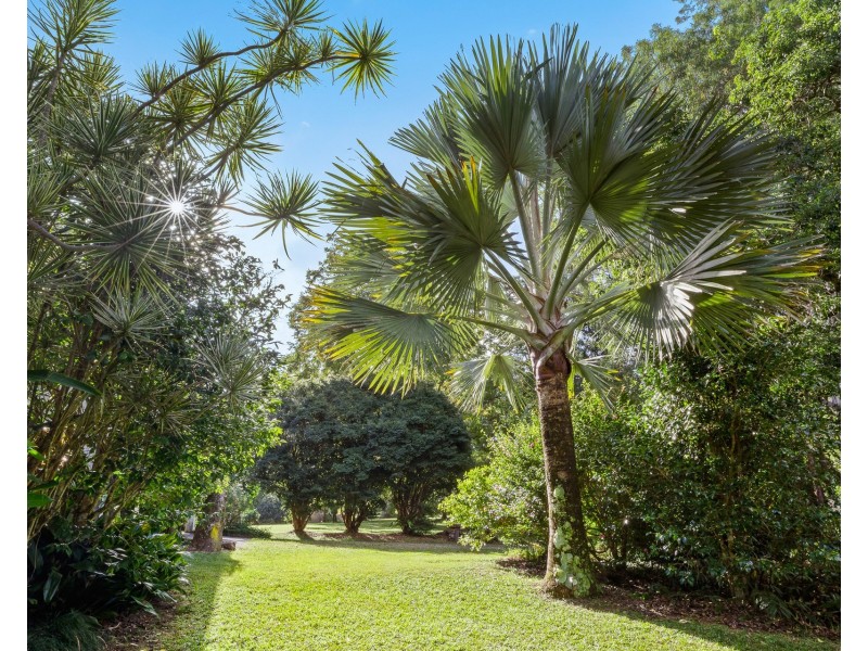 147 Whian Whian Road, Whian Whian NSW 2480