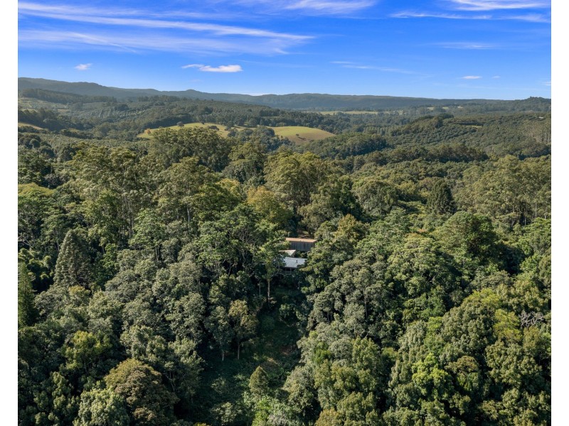 147 Whian Whian Road, Whian Whian NSW 2480