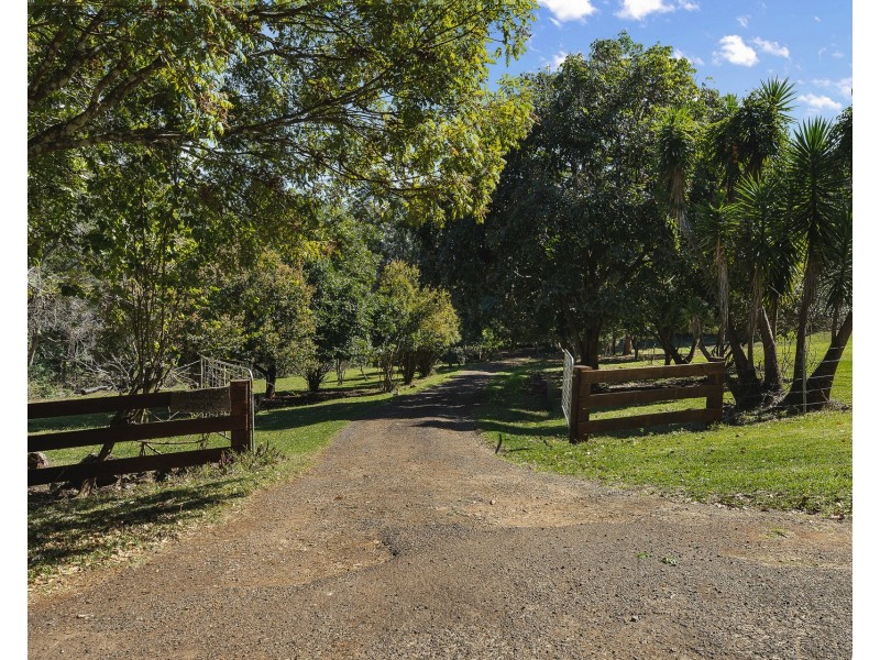 509 Rosebank Road, Rosebank NSW 2480