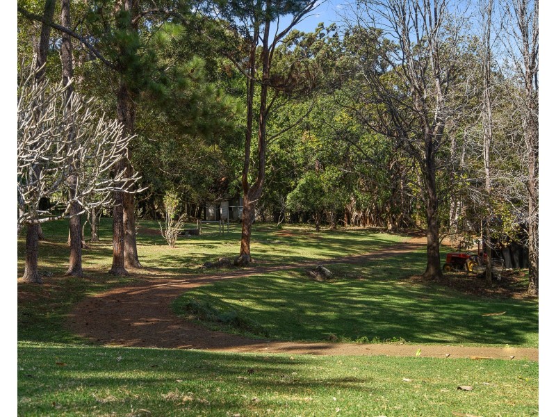 509 Rosebank Road, Rosebank NSW 2480