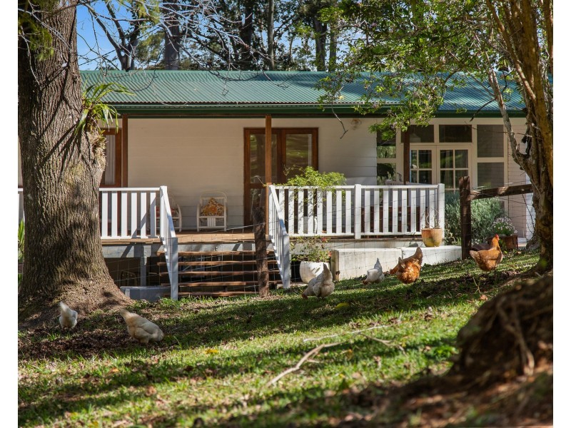 509 Rosebank Road, Rosebank NSW 2480