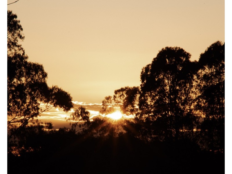 509 Rosebank Road, Rosebank NSW 2480