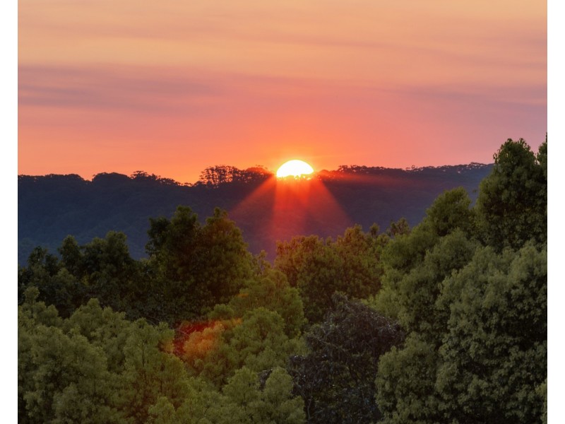 107 Bates Road, Federal NSW 2480