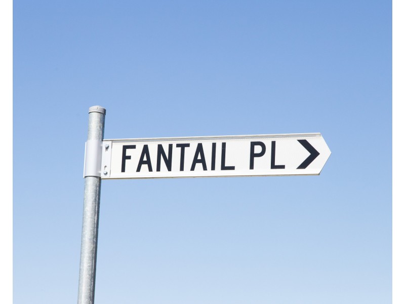 204 Tuckeroo Avenue, Mullumbimby NSW 2482