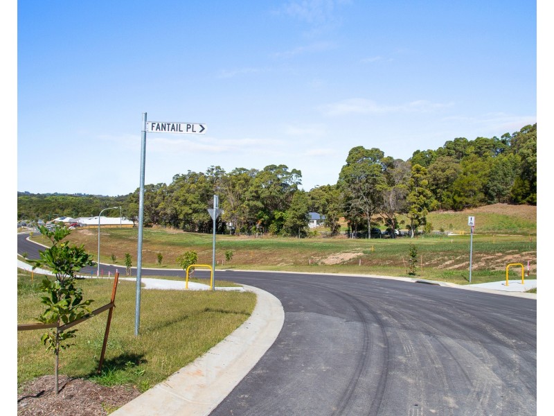 204 Tuckeroo Avenue, Mullumbimby NSW 2482