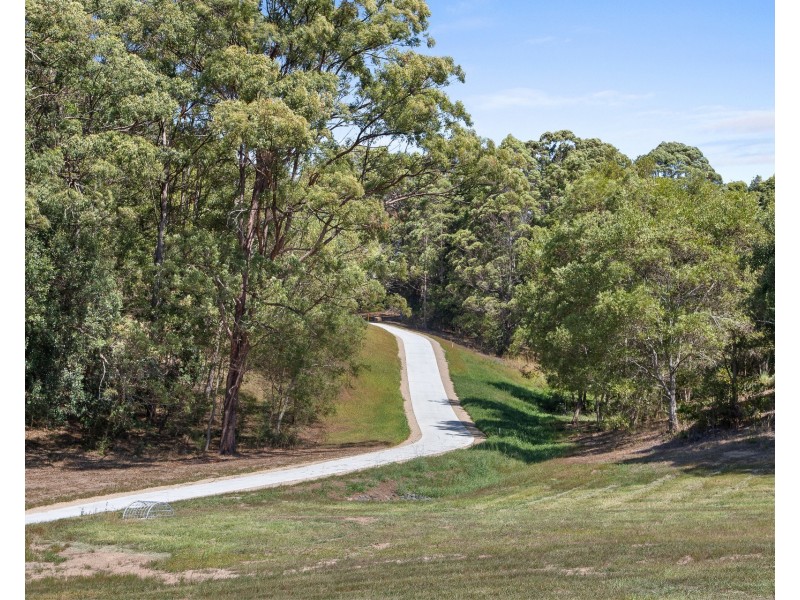 204 Tuckeroo Avenue, Mullumbimby NSW 2482