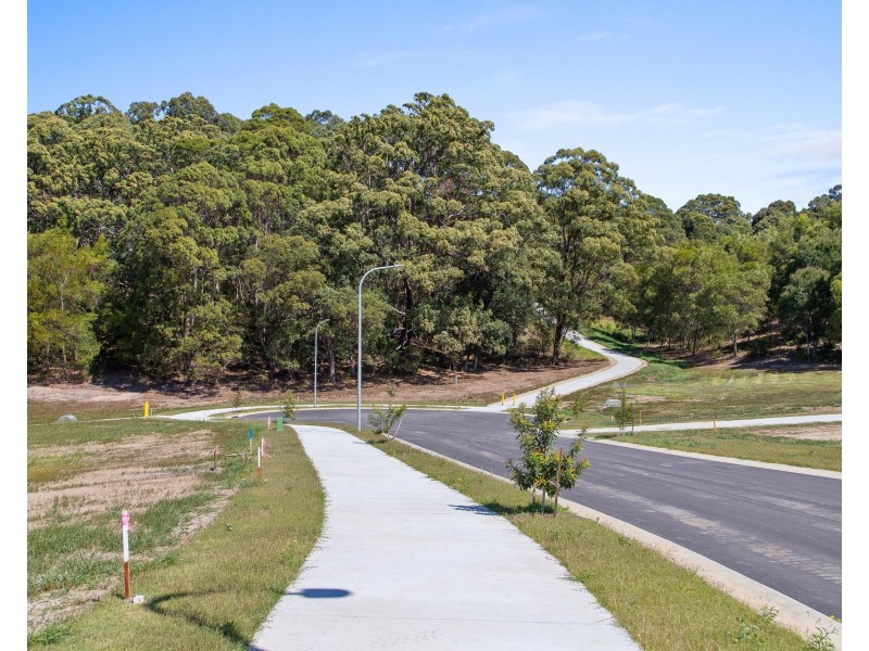 204 Tuckeroo Avenue, Mullumbimby NSW 2482