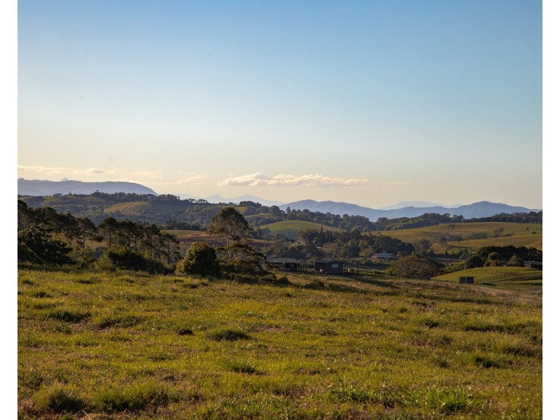 388 Coopers Shoot Road, Coopers Shoot NSW 2479