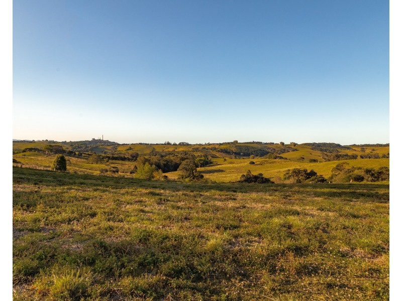 388 Coopers Shoot Road, Coopers Shoot NSW 2479