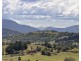 299 Myocum Road, Ewingsdale NSW 2481