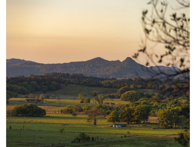 299 Myocum Road, Ewingsdale NSW 2481