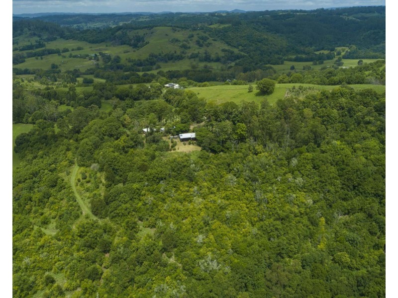 98 Wallace Road, The Channon NSW 2480