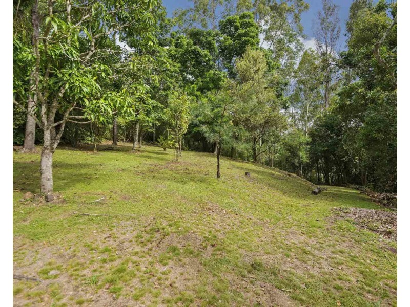 98 Wallace Road, The Channon NSW 2480