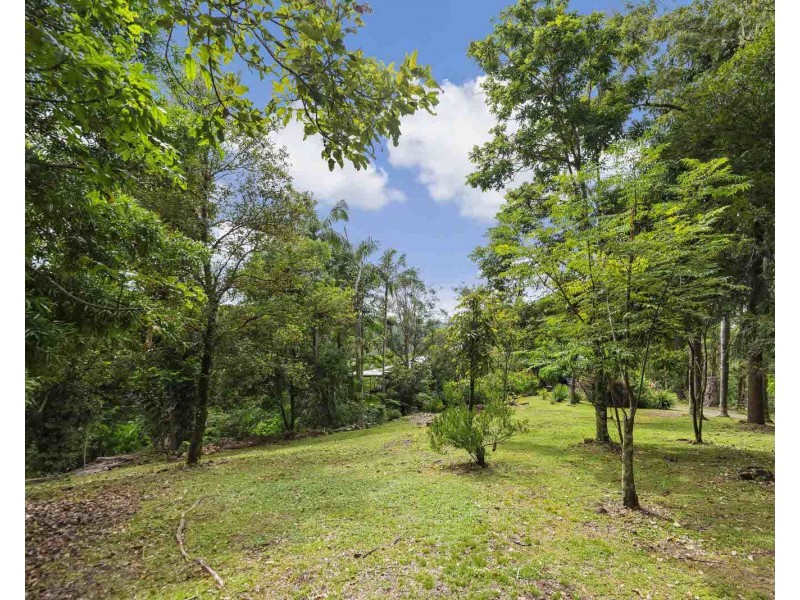 98 Wallace Road, The Channon NSW 2480