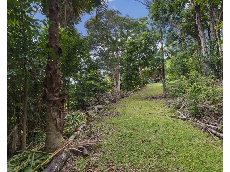 98 Wallace Road, The Channon NSW 2480