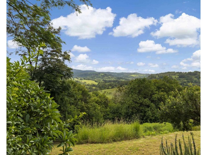 98 Wallace Road, The Channon NSW 2480