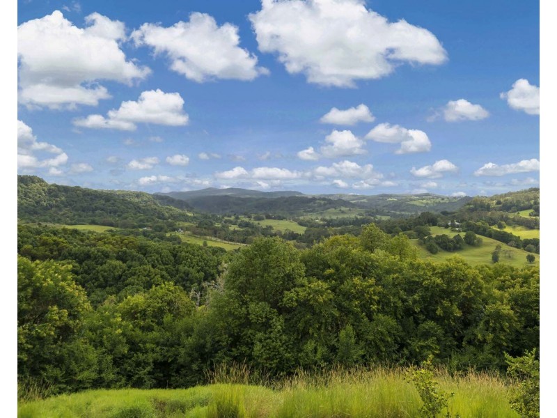 98 Wallace Road, The Channon NSW 2480