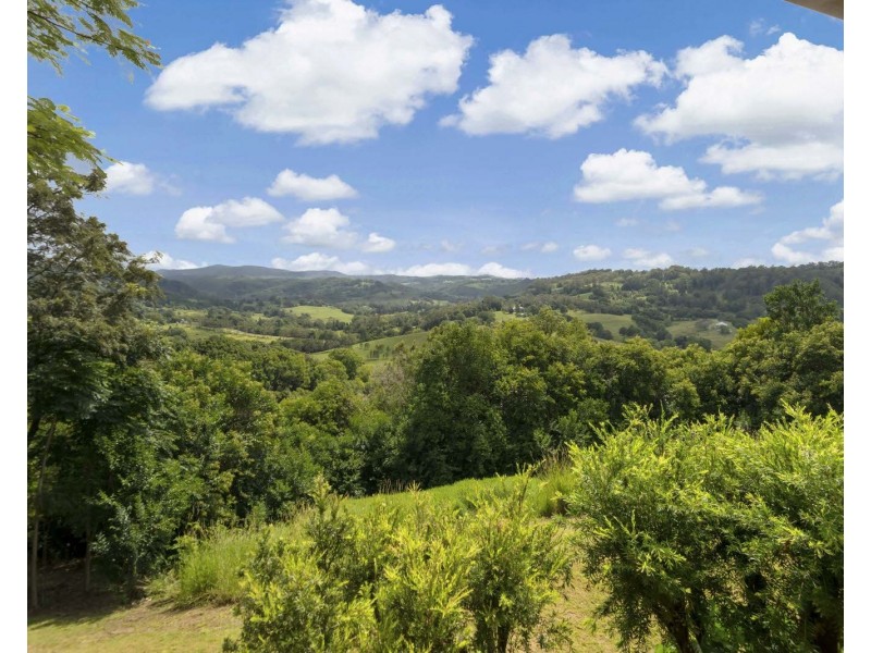 98 Wallace Road, The Channon NSW 2480