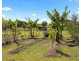 11 Citriadora Drive, Ewingsdale NSW 2481