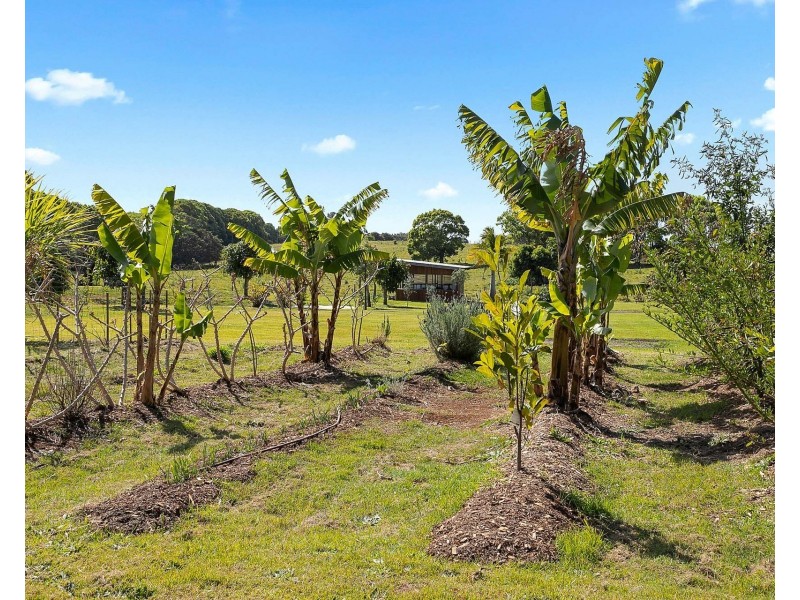 11 Citriadora Drive, Ewingsdale NSW 2481