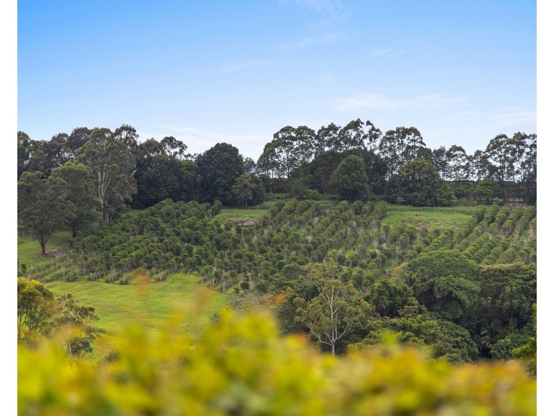 17 Kamala Court, Coopers Shoot NSW 2479